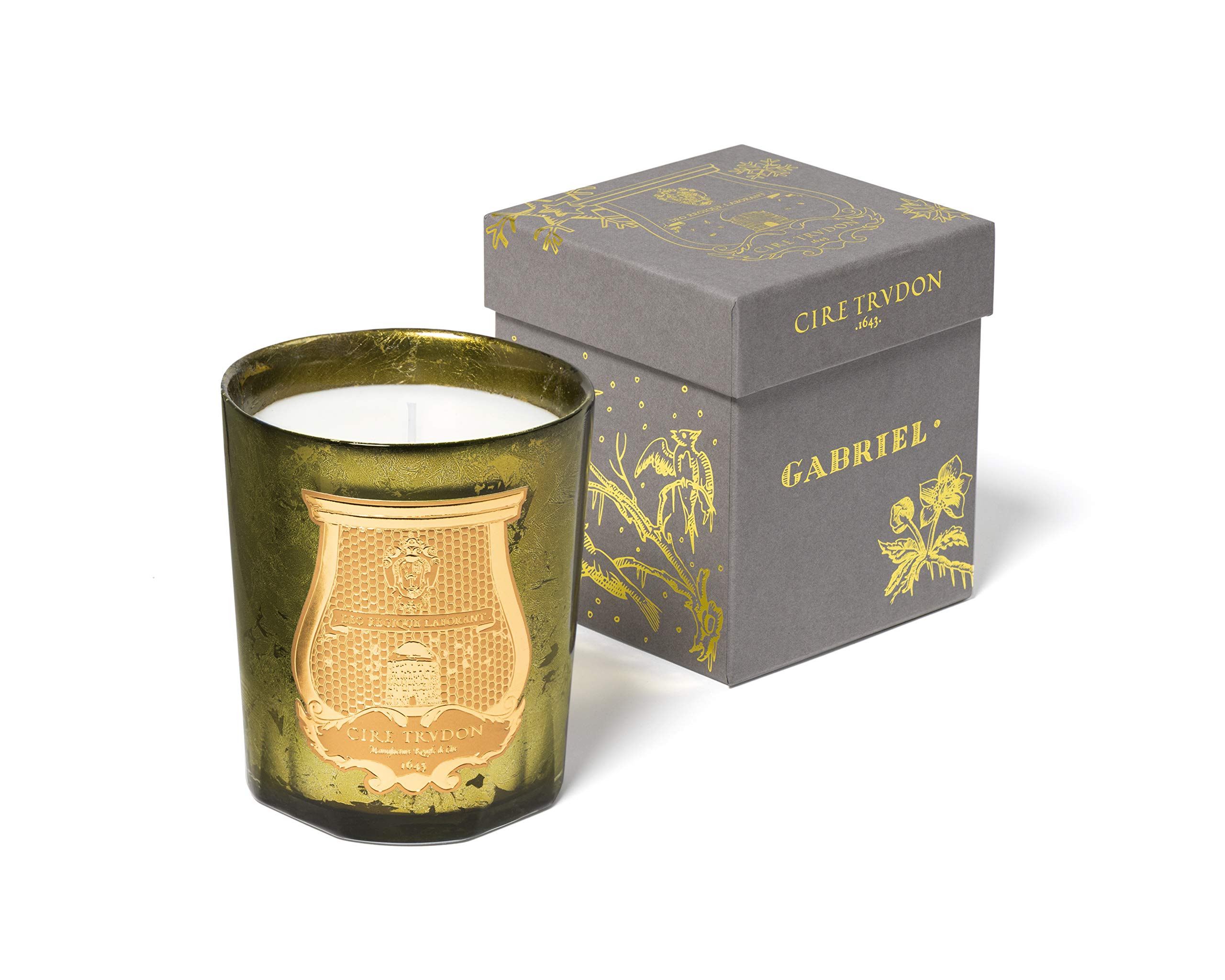 Amazon.com: Cire Trudon Gabriel Holiday Candle 9.5 oz : Health